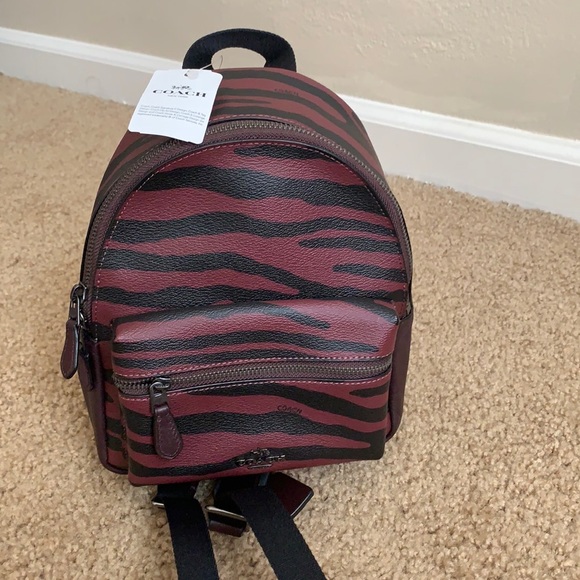 Coach - Picture 4 of 15